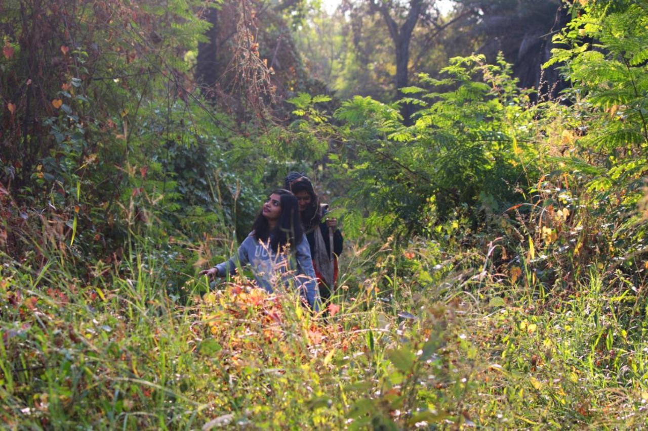 Dera Baghdarrah Nature Retreat Udaipur Kültér fotó