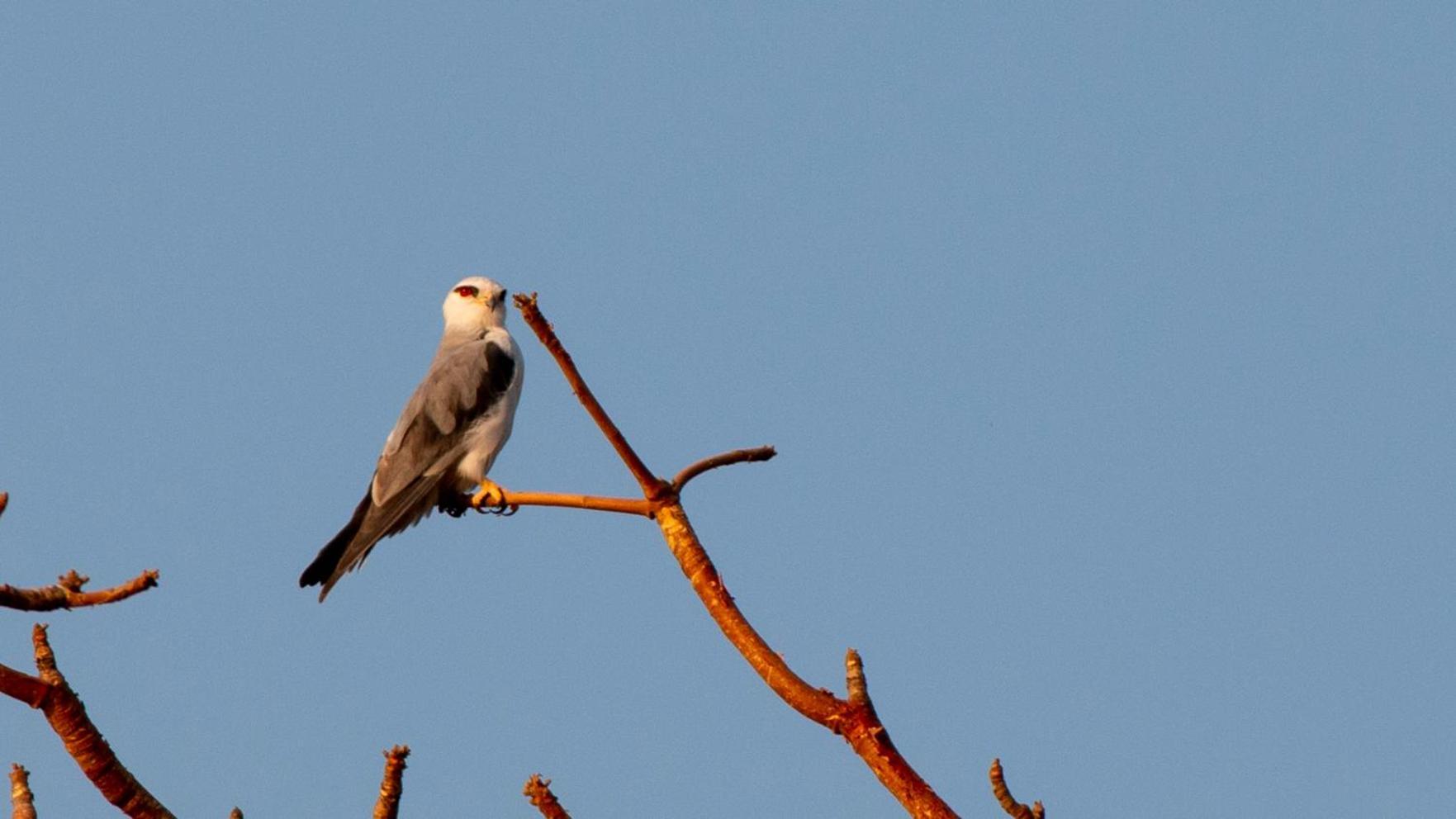 Dera Baghdarrah Nature Retreat Udaipur Kültér fotó