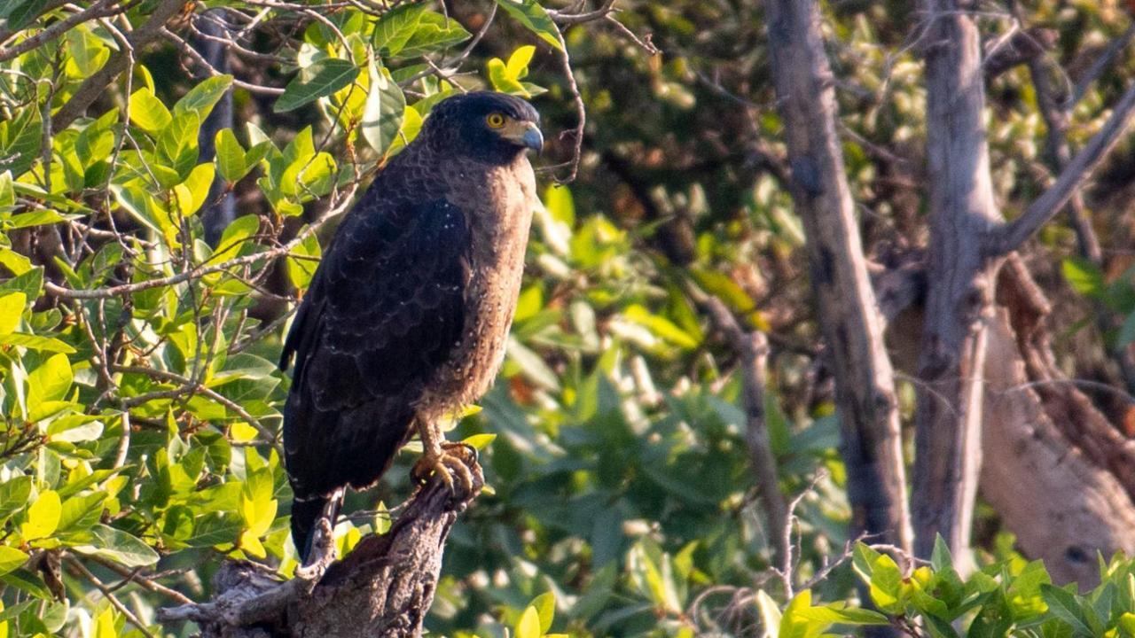 Dera Baghdarrah Nature Retreat Udaipur Kültér fotó