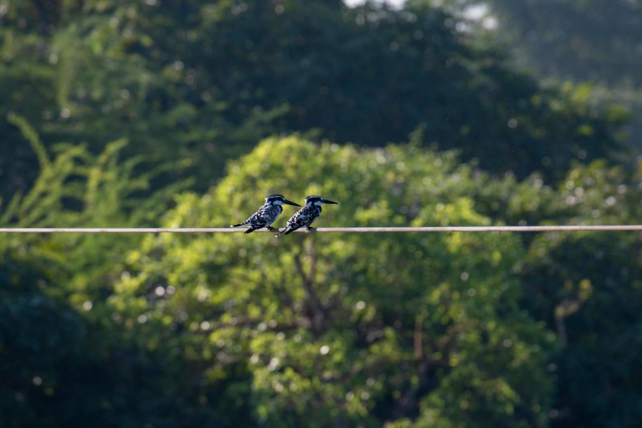 Dera Baghdarrah Nature Retreat Udaipur Kültér fotó