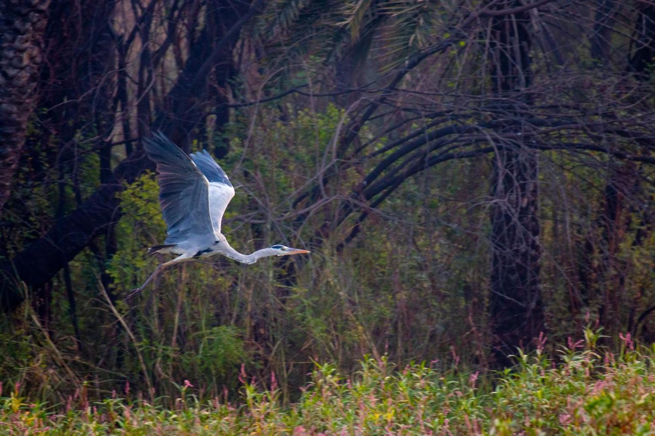 Dera Baghdarrah Nature Retreat Udaipur Kültér fotó