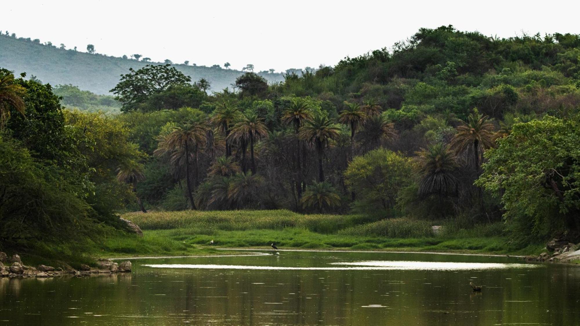 Dera Baghdarrah Nature Retreat Udaipur Kültér fotó